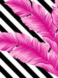 BarbieStyle™ Isla Palm  Wallpaper - 219 Barbie™ Pink & Black Discount