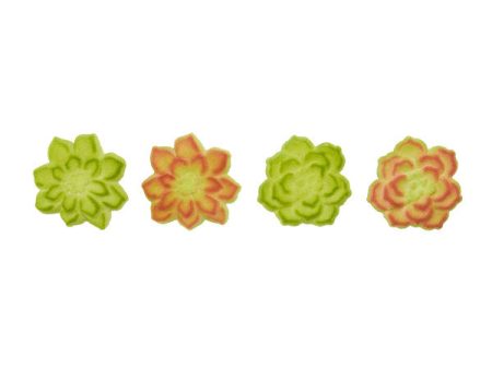 Succulents Assortment Dec-Ons® Decorations Online