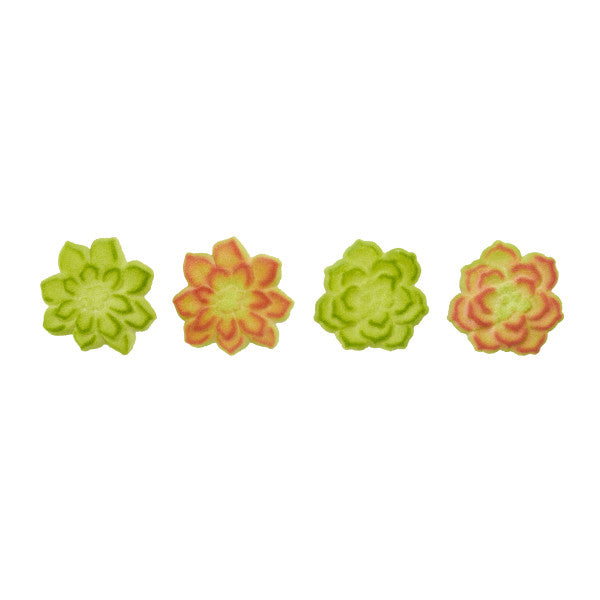 Succulents Assortment Dec-Ons® Decorations Online