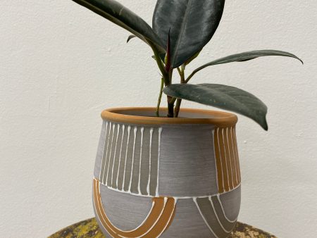 Dilia Cache Pot Online Sale