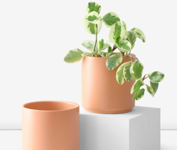 Polly Planter Online Sale