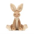 Horticus Hare on Sale