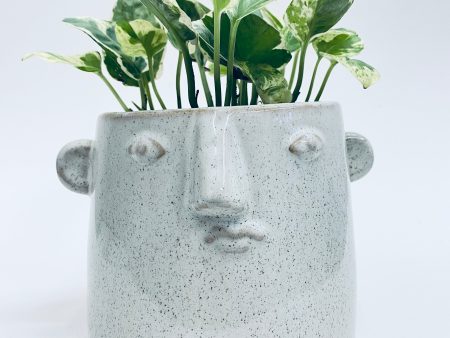 Fabio Vase  Planter Online Hot Sale