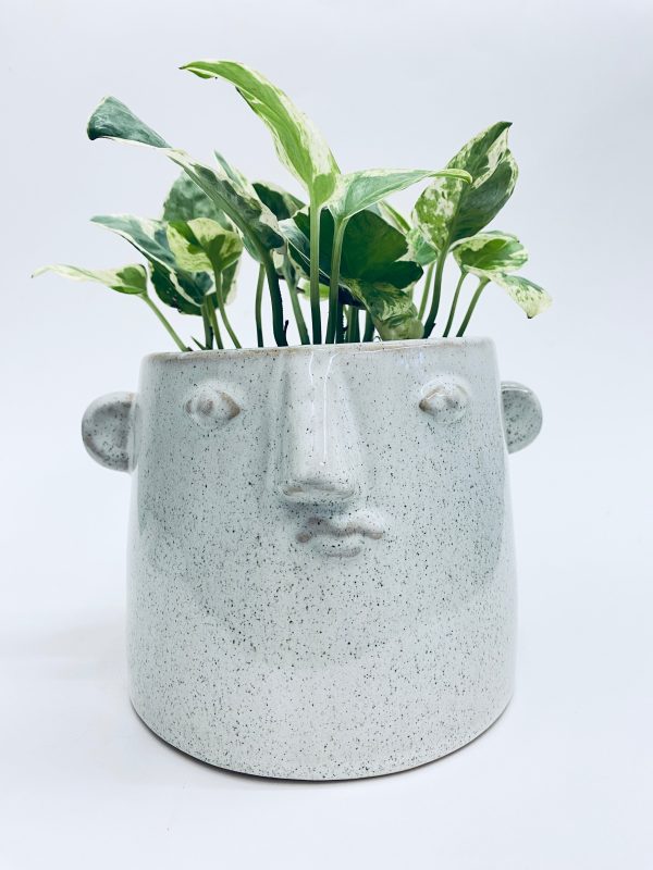 Fabio Vase  Planter Online Hot Sale