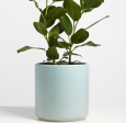 Polly Planter Online Sale