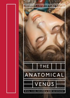 The Anatomical Venus Online now