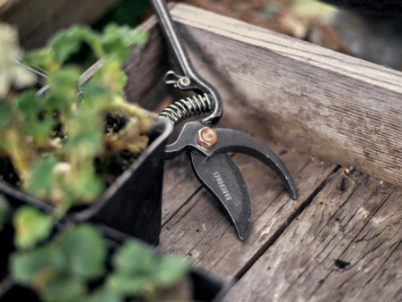 Pruner Online now