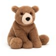 Woody Bear Medium Cheap