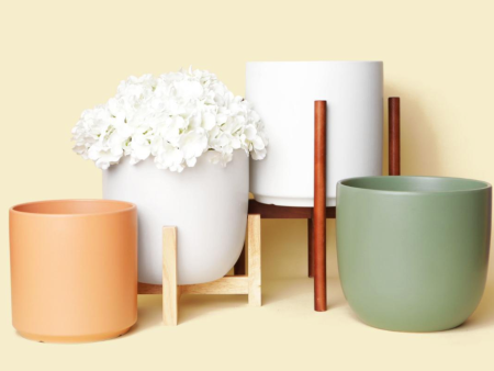 Polly Planter Online Sale