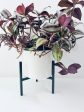 Milton Planter & Stand Online Sale