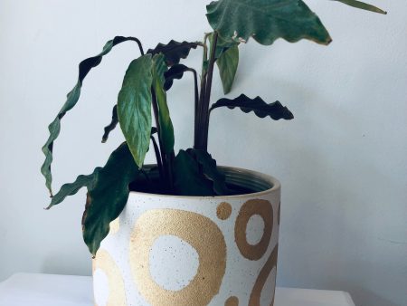 Gertie Golden Planter For Discount