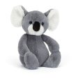 Bashful Koala For Sale