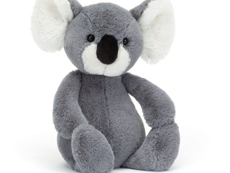 Bashful Koala For Sale