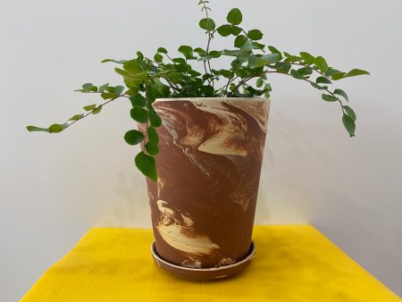 Marble Swirl Planter Hot on Sale