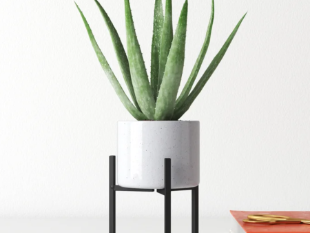 Milton Planter & Stand Online Sale