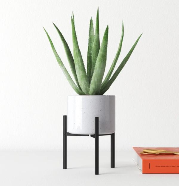 Milton Planter & Stand Online Sale