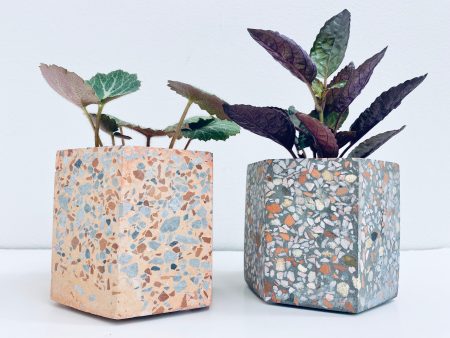 Bello Hexi Terrazzo Planters For Discount