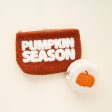 Pumpkin Season Teddy Pouch Supply