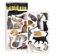 For The Love of Cats Matches Hot on Sale