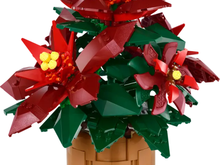 10370 Poinsettia Discount