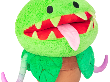 Squishable Venus Fly Trap on Sale