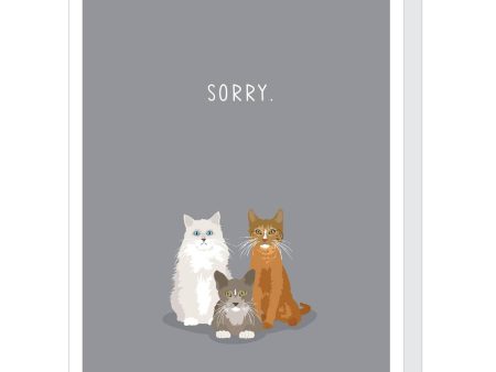 Sorry Cats Pet Sympathy Card Discount