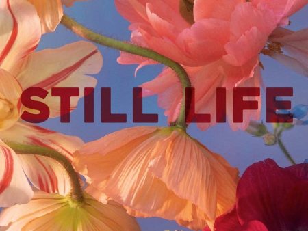 Chronicle Books - Still Life on Sale