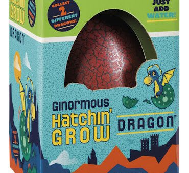 Hatch And Grow Dragon Online Hot Sale