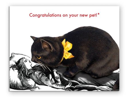 Congratulations On Your New Pet Fashion