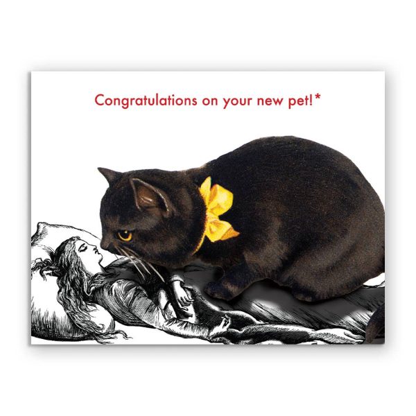 Congratulations On Your New Pet Fashion