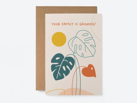 Your Family Is Growing on Sale